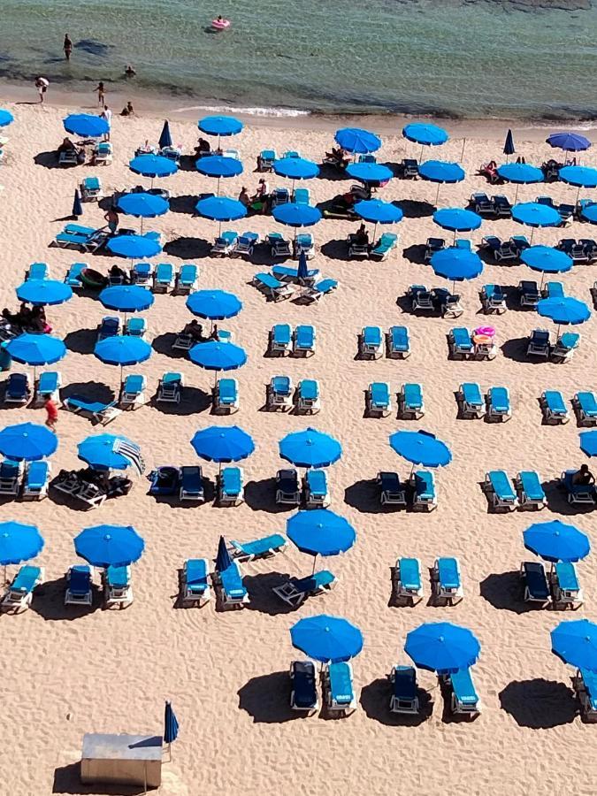 Dreamveracruz Playa بينايدورم المظهر الخارجي الصورة